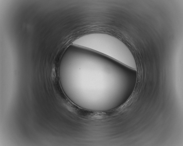 X0000116420128200912081208