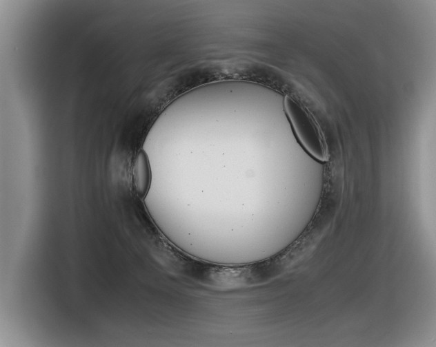 X0000116420129200912081208