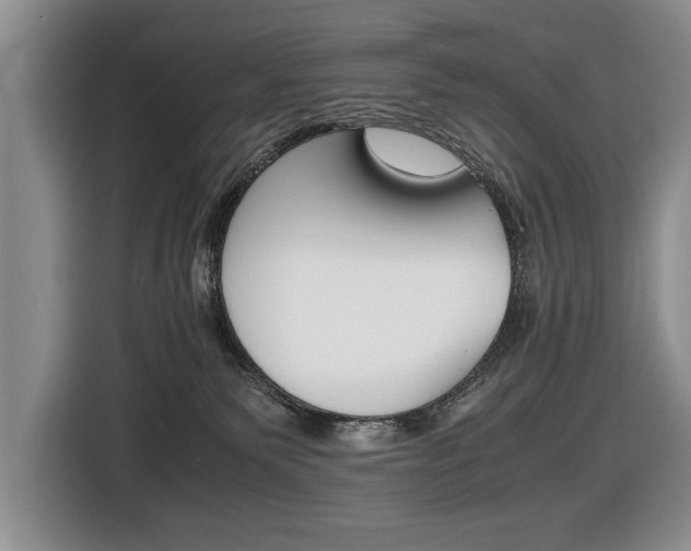 X0000116420135200912081208