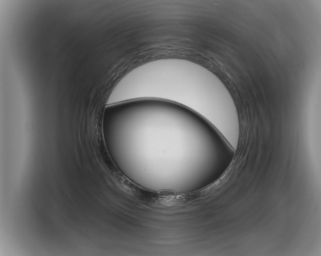 X0000116420136200912081208