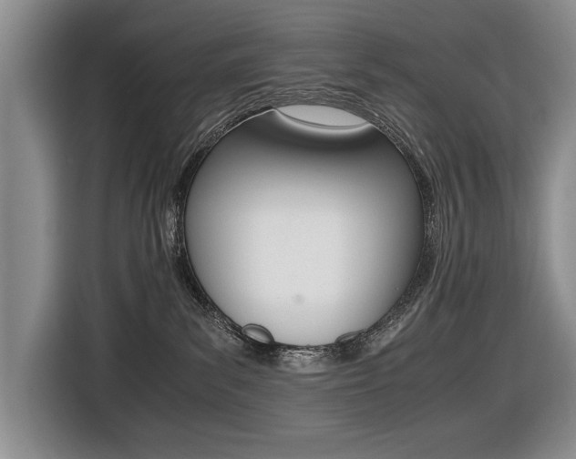 X0000116420139200912081208