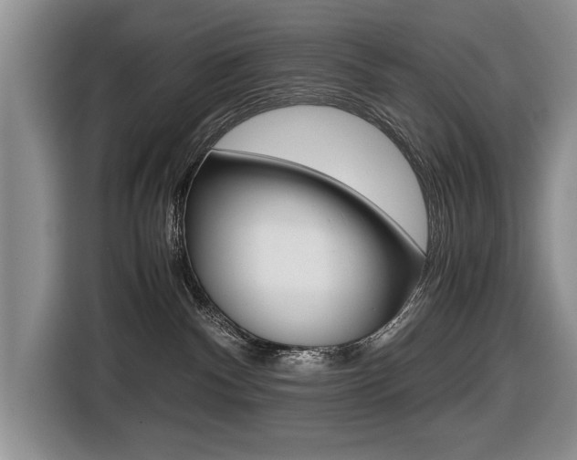 X0000116420140200912081208