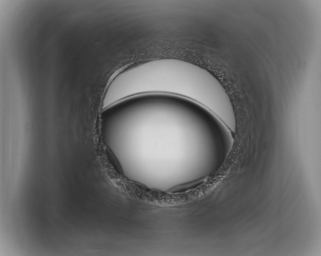 X0000116420144200912081208