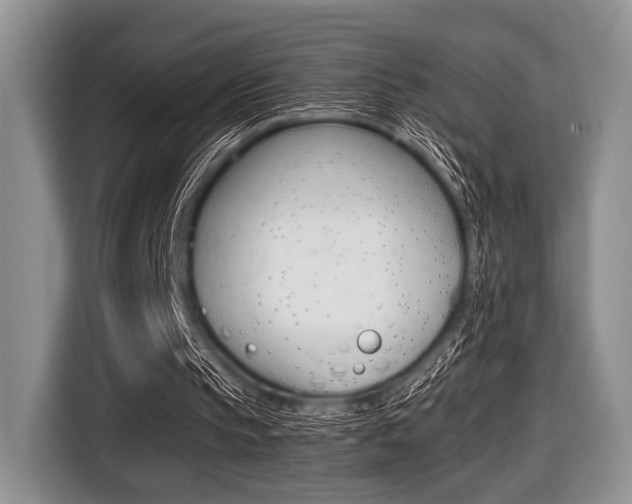 X0000116420145200912081207