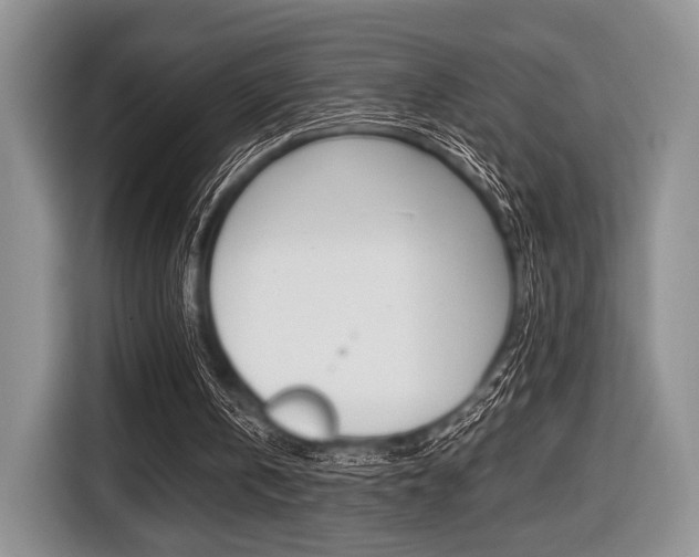 X0000116420146200912081207