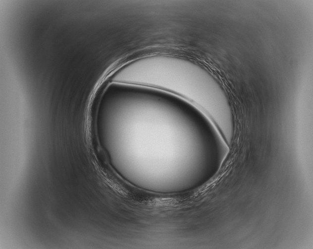 X0000116420150200912081207