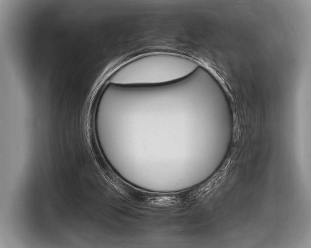 X0000116420151200912081207