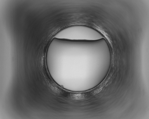X0000116420153200912081207