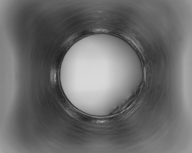 X0000116420157200912081207