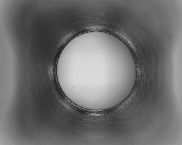 X0000116420159200912081207