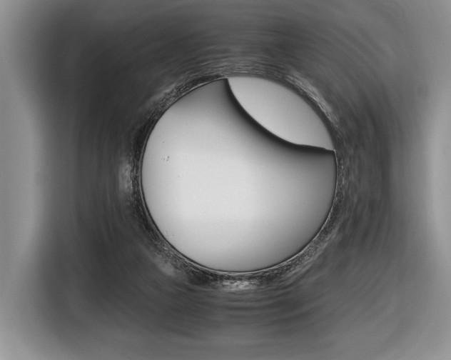 X0000116420161200912081207