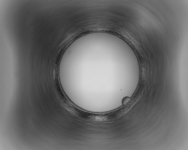 X0000116420165200912081207
