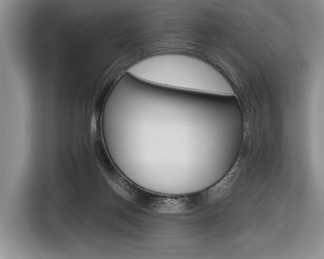 X0000116420166200912081207