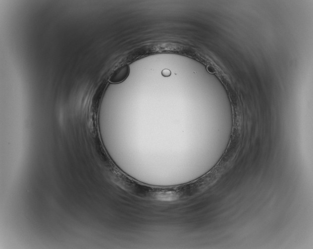 X0000116420169200912081207