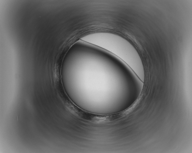 X0000116420170200912081207