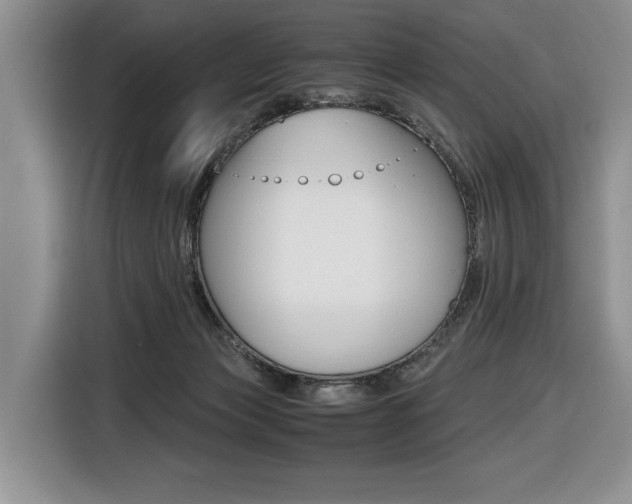 X0000116420173200912081207