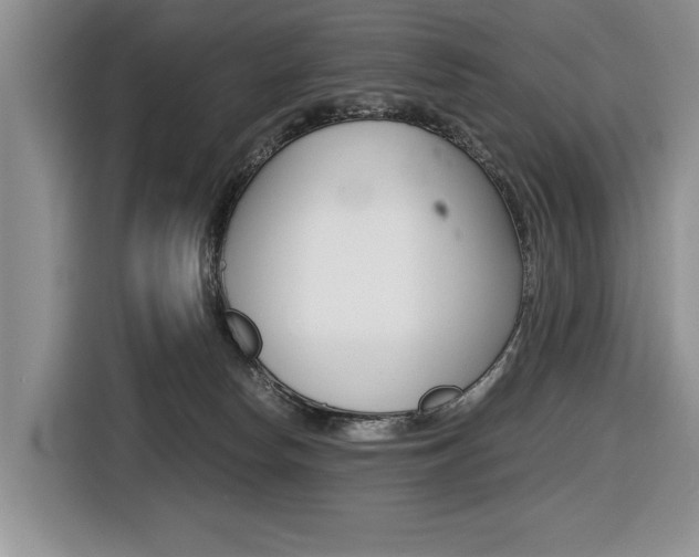 X0000116420178200912081208