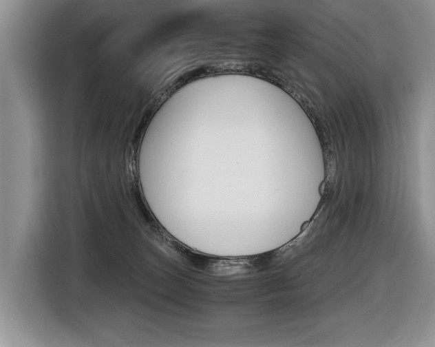 X0000116420179200912081208