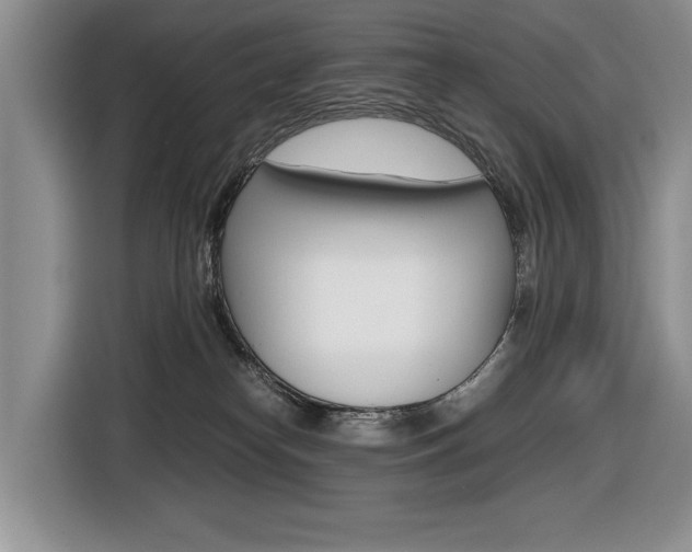 X0000116420182200912081208