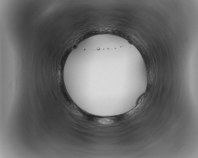 X0000116420183200912081208