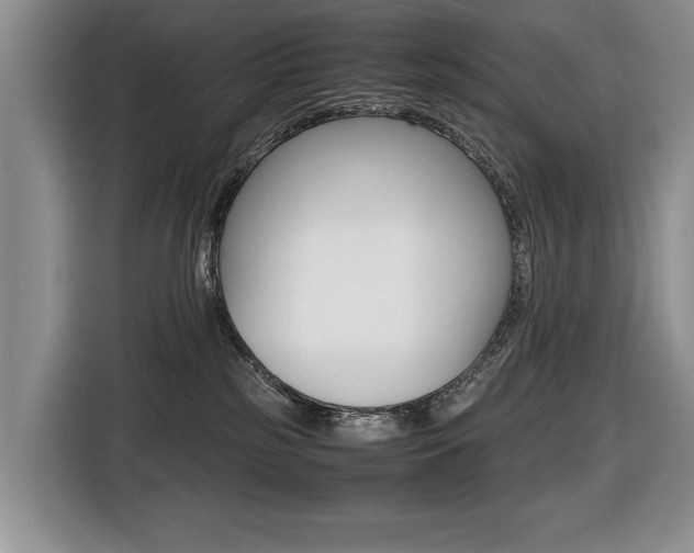 X0000116420185200912081208