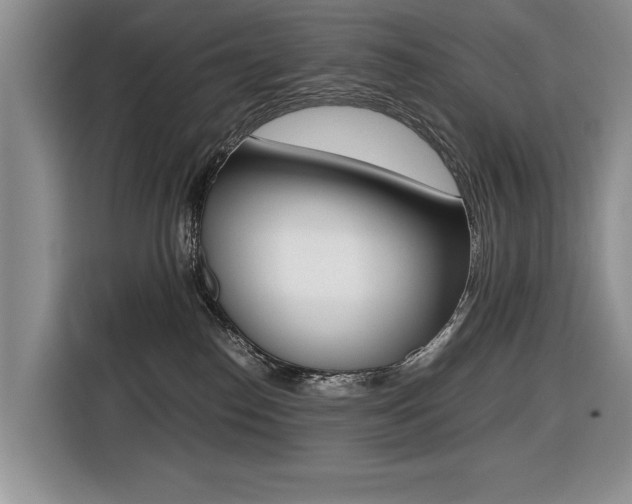 X0000116420186200912081208