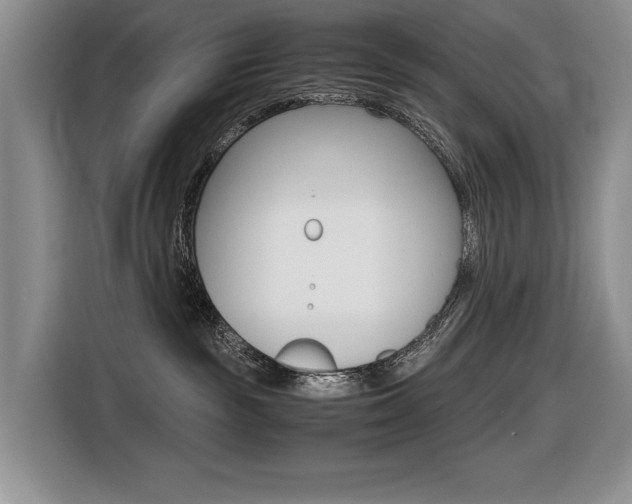 X0000116420189200912081208