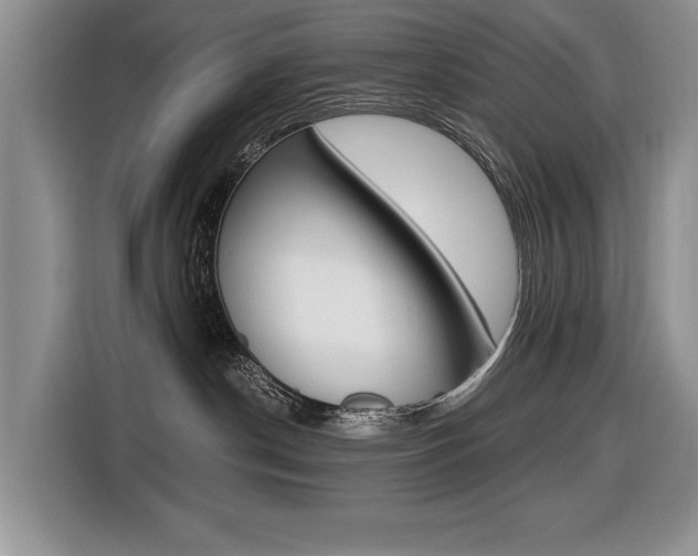 X0000116420190200912081208