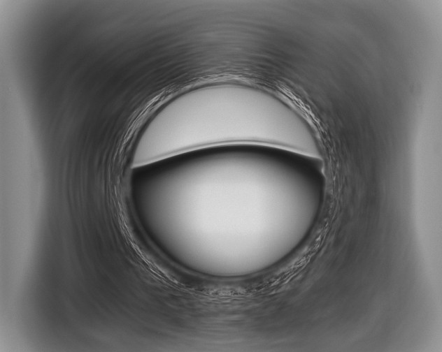X0000116420193200912081207