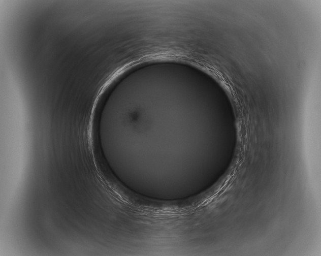 X0000116420196200912081207