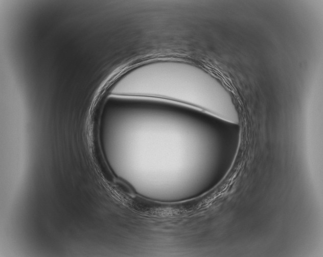 X0000116420197200912081207