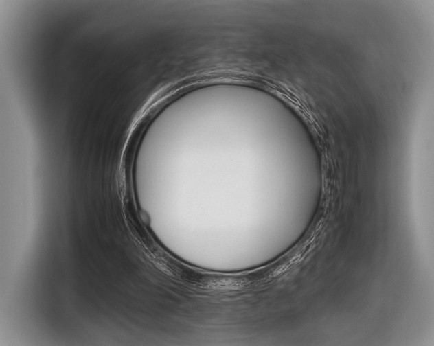 X0000116420198200912081207