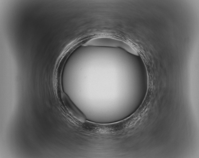 X0000116420199200912081207