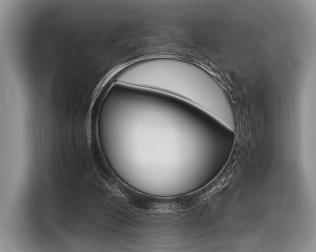 X0000116420200200912081207