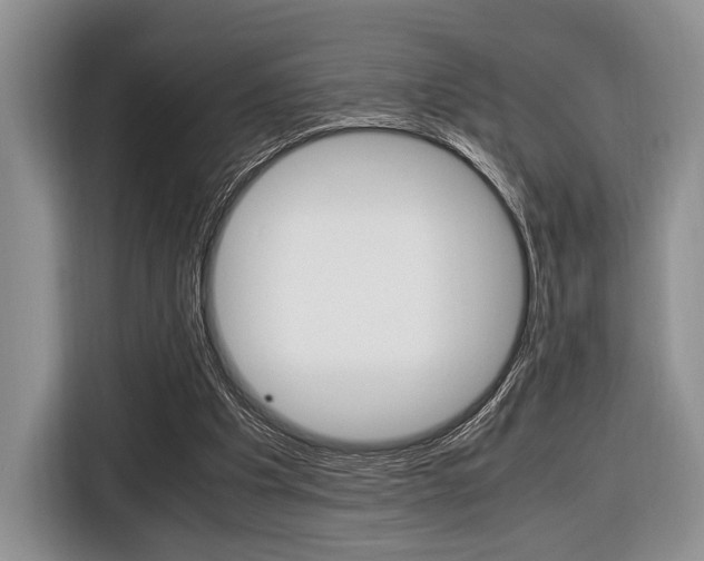 X0000116420201200912081207