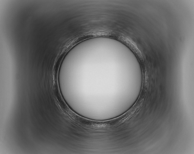 X0000116420202200912081207