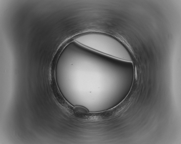 X0000116420204200912081207