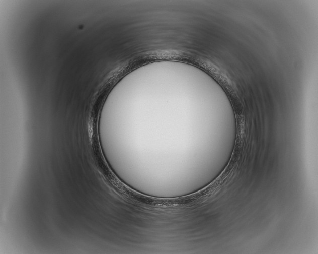 X0000116420206200912081207