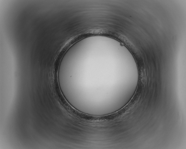 X0000116420208200912081207