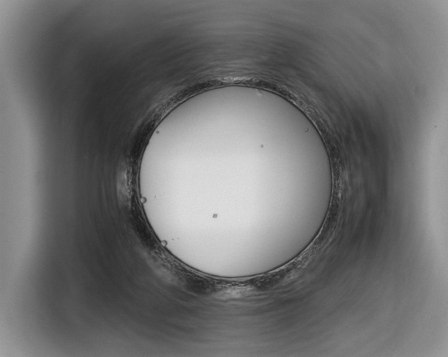 X0000116420210200912081207