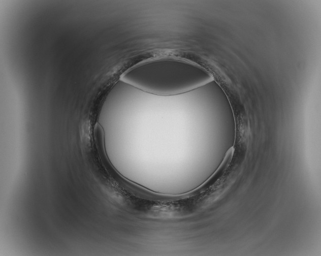 X0000116420211200912081207