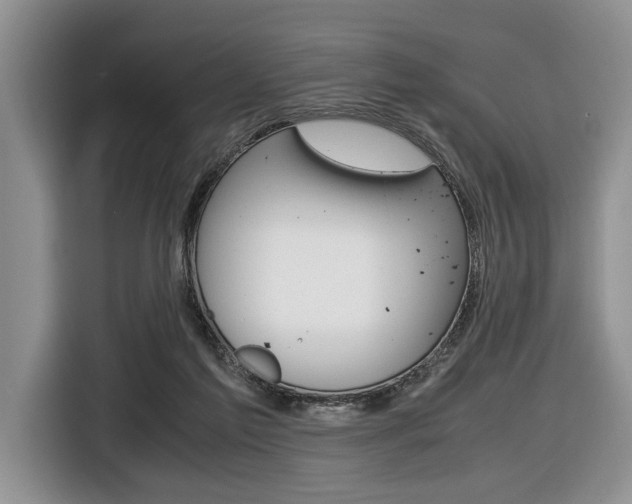X0000116420213200912081207