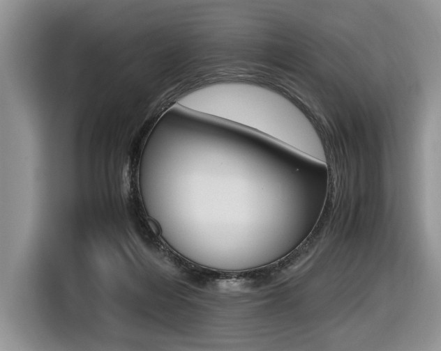X0000116420216200912081207