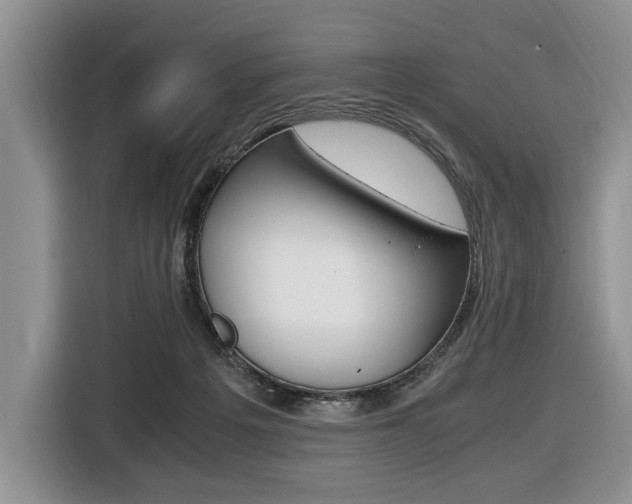 X0000116420217200912081207