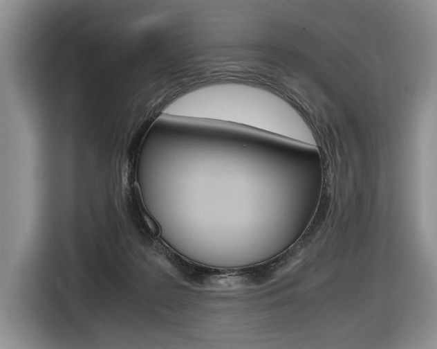 X0000116420219200912081207