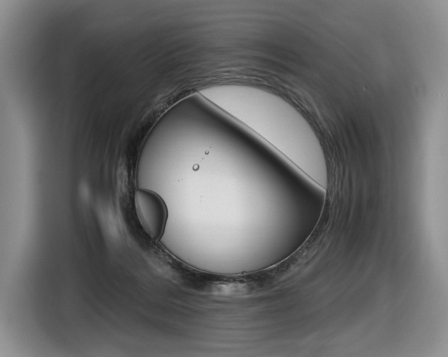 X0000116420220200912081207