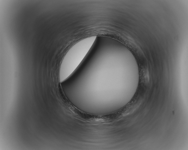 X0000116420224200912081207