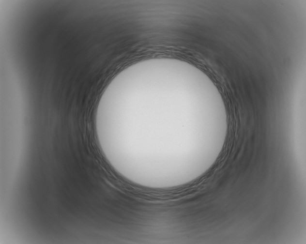 X0000116420225200912081207