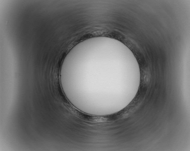 X0000116420226200912081207