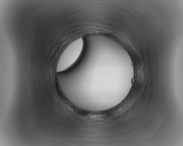 X0000116420228200912081207